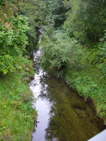 Neckar bei Schwenningen