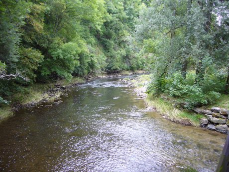Neckar nahe Rottweil