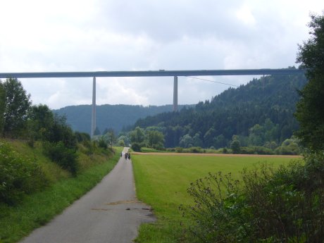 A 81