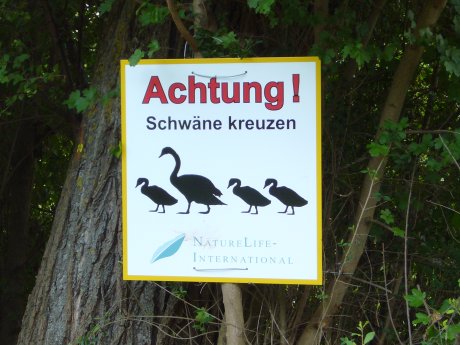 Schild "Achtung Schw&auml;ne"
