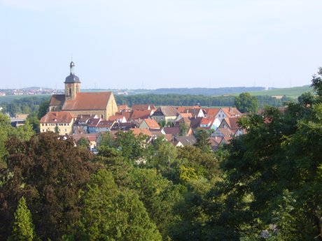 Blick auf Lauffen am Neckar