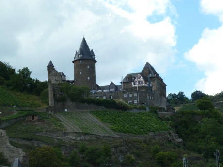 Burg am Rhein