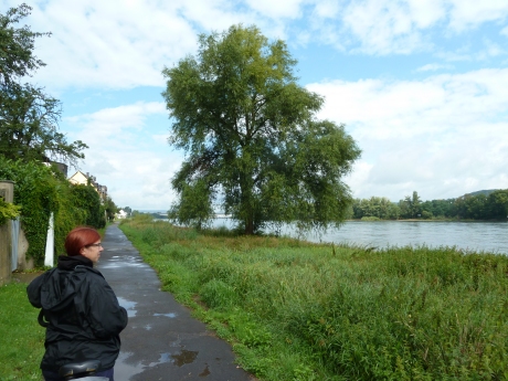 Radweg bei Koblenz